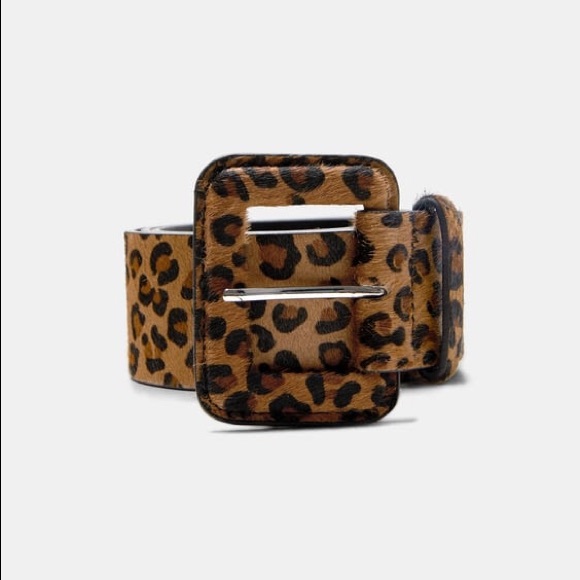 Zara Leopard Animal Print 